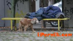 Бездомниците в София ще могат да си отдъхнат в кризисни центрове 11_1446464669