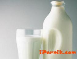 Започват да приемат заявления за получаване на субсидиите за мляко 11_1447947040