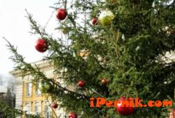 Каква ще е програмата на община Перник за декември 12_1448953300