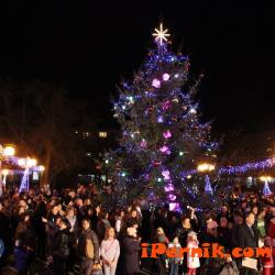 В Радомир запалват Коледната елха на 10 декември 12_1449503241
