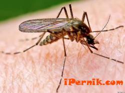 Ще пръскат срещу комари едновременно на българсикя румънския бряг на Дунав 02_1455259332