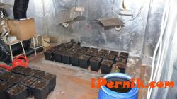 Пернишки и трънски полицаи разкриха домашна лаборатория за производство на наркотици 03_1458384885