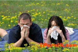 Все повече хора страдат от сенна хрема през пролетта 04_1459835687