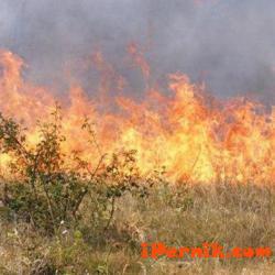 17 пожара са гасени през почивните дни от огнеборците в Пернишко 08_1470803365
