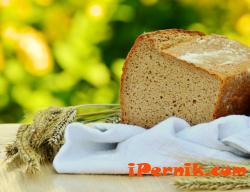 Хлябът е изключително важен и достъпен източник на ценни растителни белтъчини 08_1470890061