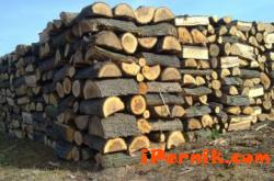 Трябва да почнем да купуваме дърва, ако ни трябват 09_1474347706