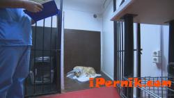 Собственикът на питбула, който разкъса беззащитно куче в "Тева", се оплака от заплахи 10_1476416906
