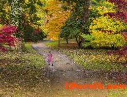 Как да се справим с есенната меланхолия 11_1478358644