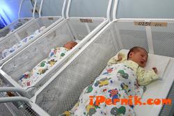 Перник - новородените в регистър
