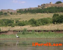 язовир „Пчелина” край село Ковачевци 