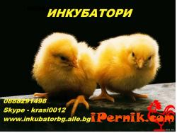 Предлагаме инкубатори за люпене на яйца на изгодни цени  0888291498  Skype - kra