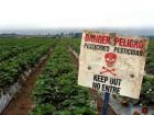 Внимание пестициди! Опасно, отровно!