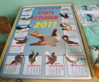 Изложба на декоративни гълъби и птици в Перник