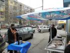 Шаран кръстоносец стана кадем на нов магазин за риба в Перник