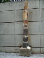 Подземен минен музей - Перник - вкаменено дърво