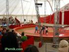 Цирк Колозеум в Перник с участие на малчугани