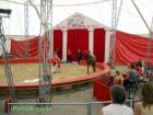 Дресура на коне в цирк Колозеум