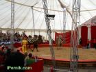 Султан и Емир в цирк Колозеум