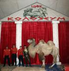 Цирк Колозеум в град Перник