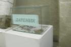 Изложба „Терариум в музея“ в Перник
