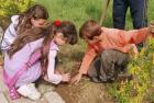 Деца садиха дървета с подкрепа от  фондацията на Бисер Боянов