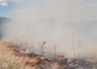 Пожар в Планиница-6 Снимка: Бисер Боянов
